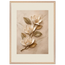 Magnolia Ascent, flowers and botanical. Archival framed fine art print shown framed.