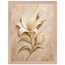 Alabaster Lily, flowers and botanical. Archival framed fine art print shown framed.