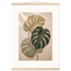 Stone Monstera, botanical and nature. Archival fine art poster shown framed.
