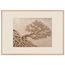 Root Lattice: petra and herbarium. Museum-quality framed fine art print.
