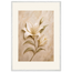 Alabaster Lily: flowers and botanical. Framed fine art print, alternate frame and size.