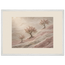 Blossom Terraces, flowers and botanical. Archival framed fine art print shown framed.
