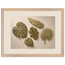 Green Constellation: botanical, green and loose rhythm. Framed fine art print, alternate frame and size.