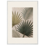Carved Fronds: impasto, leaves and sand tones. Framed fine art print, alternate frame and size.