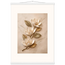 Magnolia Ascent: flowers and botanical. Museum-quality fine art poster.