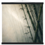 36c2d123-c4e5-4ad2-9a66-af6e7f2e0a62