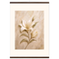 Alabaster Lily, flowers and botanical. Archival fine art poster shown framed.