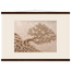Root Lattice: petra and herbarium. Fine art poster by The Light Stays.