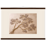 Lilac Reach: flowers and botanical. Fine art poster by The Light Stays.