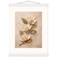 Magnolia Ascent: flowers and botanical. Fine art poster by The Light Stays.