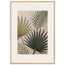 Carved Fronds: impasto, leaves and sand tones. Framed fine art print by The Light Stays.