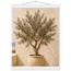 Olive Terrace, landscape and sun. Archival fine art poster shown framed.