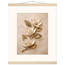 Magnolia Ascent, flowers and botanical. Archival fine art poster shown framed.