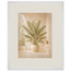 Courtyard Noon: landscape and sun. Museum-quality framed fine art print.