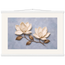 Bronze Magnolia: flowers and botanical. Museum-quality fine art poster.