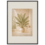 Courtyard Noon: landscape and sun. Framed fine art print by The Light Stays.