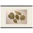 Green Constellation: botanical, green and loose rhythm. Museum-quality fine art poster.