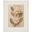 Carved Camellia: flowers and botanical. Museum-quality framed fine art print.