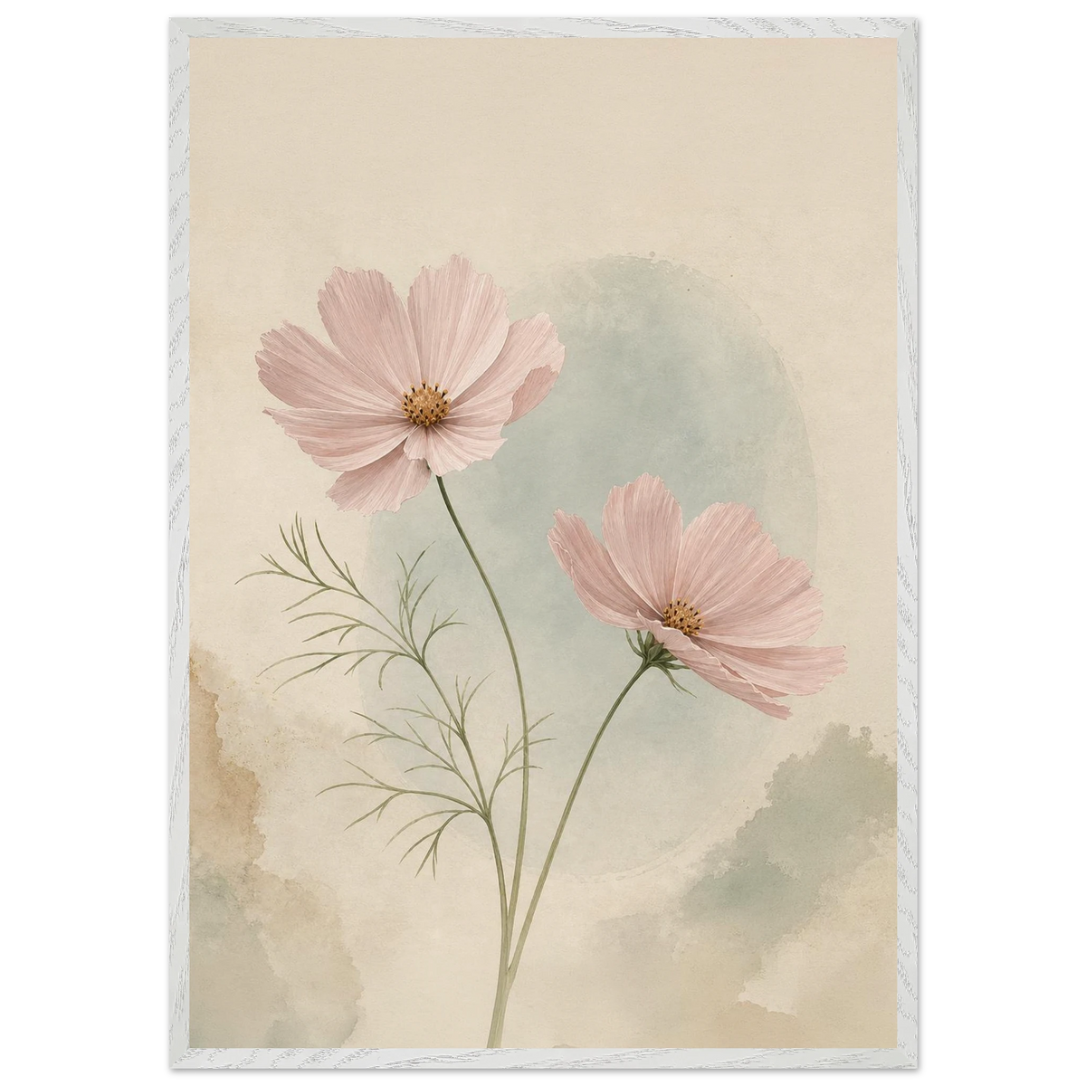 Cosmos Unison: flowers, blush and celadon. Framed fine art print by The Light Stays.