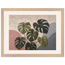 Monstera Sun, botanical and nature. Archival framed fine art print shown framed.