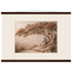 Under the Blossoms: petra and flora. Fine art poster by The Light Stays.