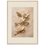 Magnolia Ascent, flowers and botanical. Archival framed fine art print shown framed.