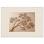 Lilac Reach: petra and flora. Framed fine art print by The Light Stays.