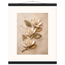 Magnolia Ascent: flowers and botanical. Museum-quality fine art poster.