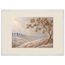 Cliffside Bloom: flowers and botanical. Framed fine art print by The Light Stays.