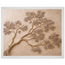 Lilac Reach: petra and flora. Framed fine art print by The Light Stays.