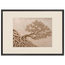 Root Lattice, petra and herbarium. Archival framed fine art print shown framed.