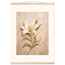 Alabaster Lily: flowers and botanical. Museum-quality fine art poster.