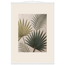 Carved Fronds, impasto, leaves and sand tones. Archival fine art poster shown framed.