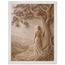 Old Friend: petra and herbarium. Museum-quality framed fine art print.