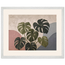 Monstera Sun: botanical and nature. Museum-quality framed fine art print.