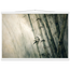 4ed1bfda-46fe-4e35-9c8e-09c011d35921