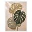 Stone Monstera: botanical and nature. Fine art poster, alternate frame and size.