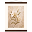 Alabaster Lily: flowers and botanical. Fine art poster, alternate frame and size.