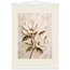 Gilded Magnolia: flowers and botanical. Fine art poster, alternate frame and size.