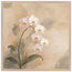 518b42fc-ad68-41a7-97d6-72839b38f55a