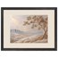 Cliffside Bloom: flowers and botanical. Framed fine art print.