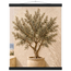 Olive Terrace: landscape and sun. Fine art poster by The Light Stays.