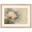 First Lotus Light: flowers and botanical. Framed fine art print by The Light Stays.