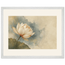 First Lotus Light, flowers and botanical. Archival framed fine art print shown framed.
