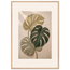 Stone Monstera: botanical and nature. Framed fine art print by The Light Stays.