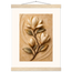 Magnolia Arc: flowers and botanical. Fine art poster.