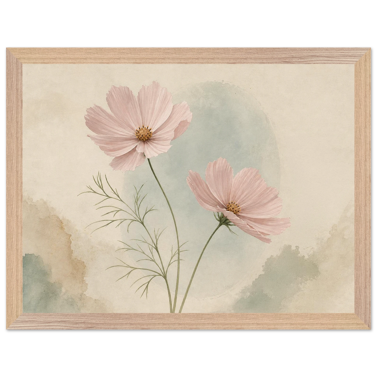 Cosmos Unison: flowers, blush and celadon. Framed fine art print by The Light Stays.
