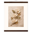 Magnolia Ascent, flowers and botanical. Archival fine art poster shown framed.