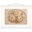 Peonies in Stone, flowers and botanical. Archival fine art poster shown framed.