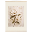 Gilded Magnolia: flowers and botanical. Fine art poster, alternate frame and size.